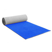 Blue Carpet Runner 4x20 $79.99