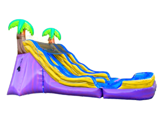 20Ft Purple Rain Dual Slide with Pool (WET)