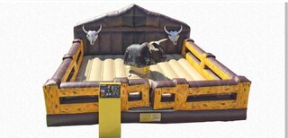 Mechanical Bull