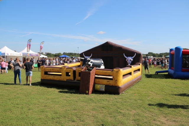 Mechanical Bulls