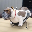 Mechanical Bulldog Rental
