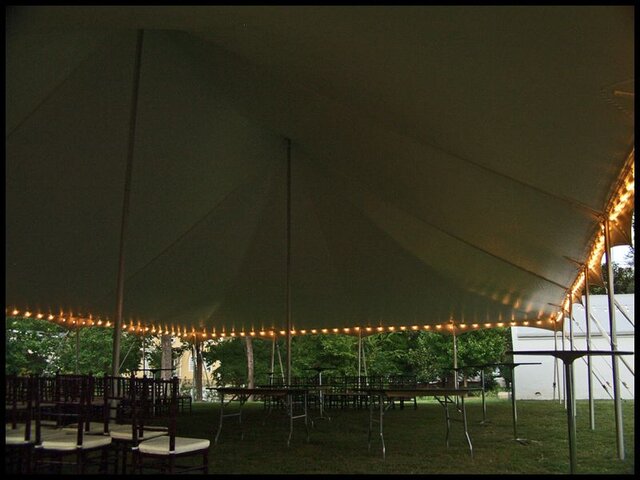 Bistro String Lighting 100 ft