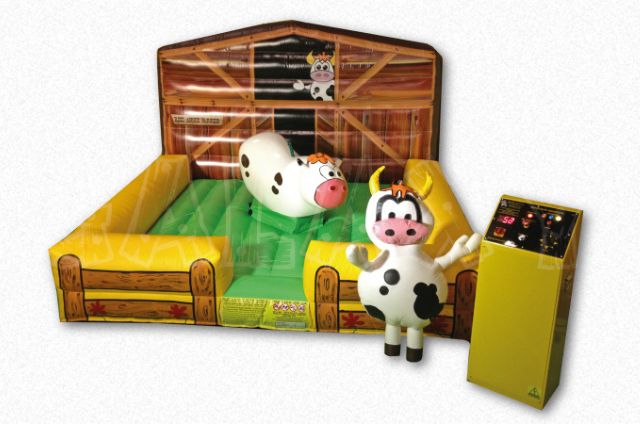 Mechanical Bull Rides For Kids