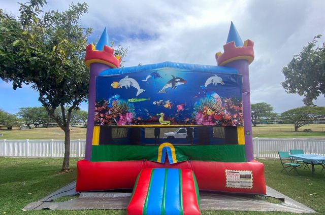 Themed Bounce House Rentals