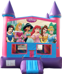 Disney Princess- 15x15 Pink