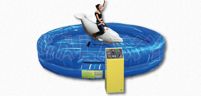 Mechanical Dolphin Ride