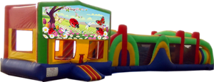 Ladybugs Butterflies and Flowers- 53' Obstacle Bouncer Combo
