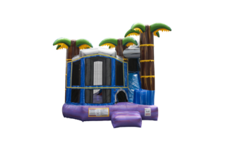 Tropical Purple Crush Combo (Dry)
