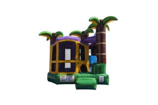 Tropical Mardi Gras Combo (Dry)
