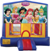 Disney Princess- 15x15 