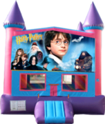 Harry Potter- 15x15 Pink