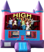 High School Musical 2- 15x15 Pink