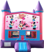 Minnie Mouse- 15x15 Pink