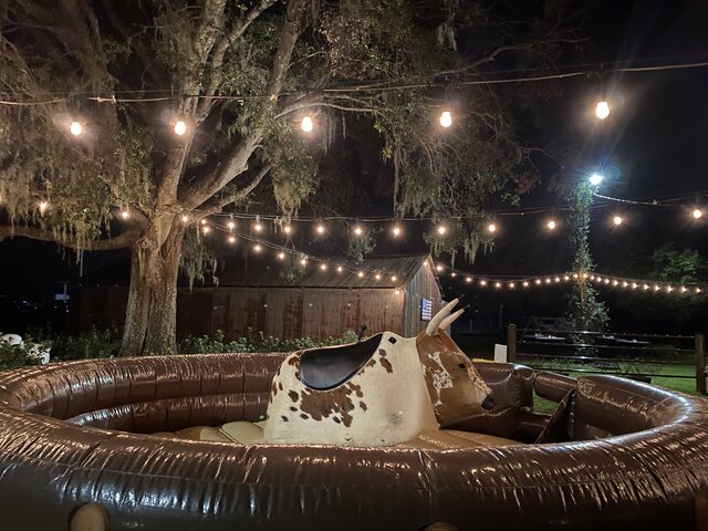 Mechanical Bull