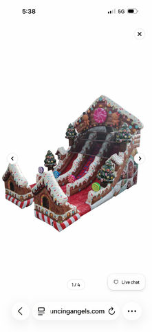 22' Gingerbread Dual Slide