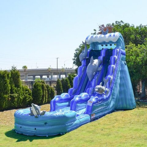 19' Dolphin Wet Slide