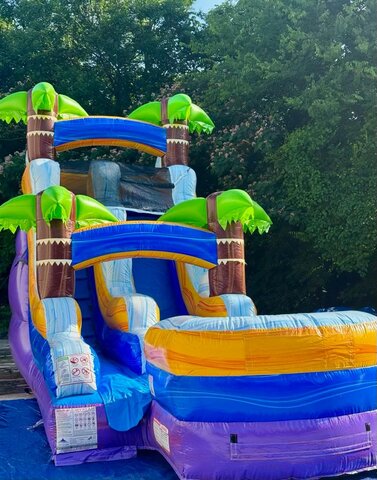 15' Purple Plunge Tropical Water Slide