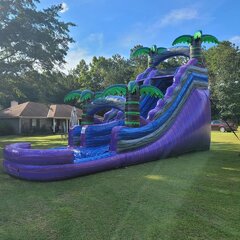 18’ Purple Palms Slide