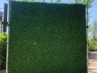 8x8 Greenery Wall