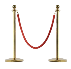Stanchion post set with rope