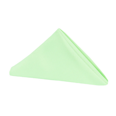 Premium Polyester Napkin 20'x20' - Mint Green