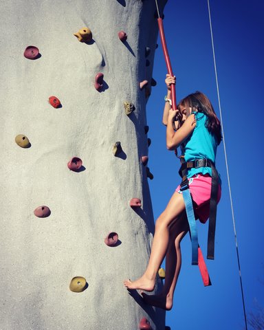 24ft Rock Wall