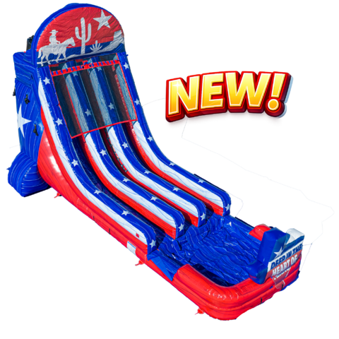 20FT Lone Star Texas Dual Lane Slide