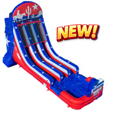 20FT Lone Star Texas Dual Lane Slide