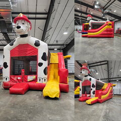 Dalmatian Combo
