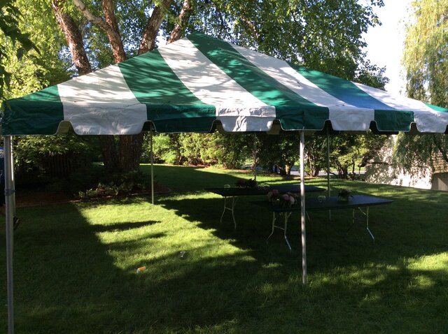 20x20 Pole Tent-  Green/White