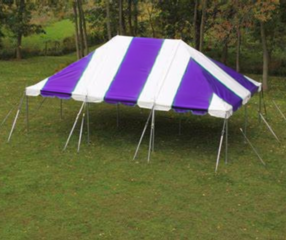 20x30 Pole Tent- Purple/White