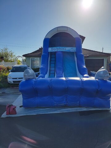 Slide Dolphin Blue