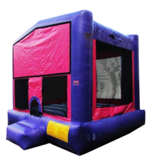 Bouncer Purple 