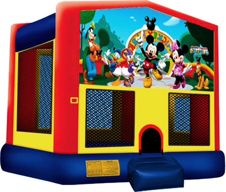 15 x 15 Module Mickey Mouse