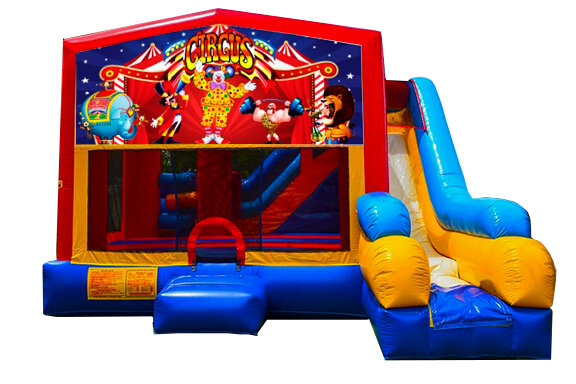 Circus 5 in 1 Combo Unit