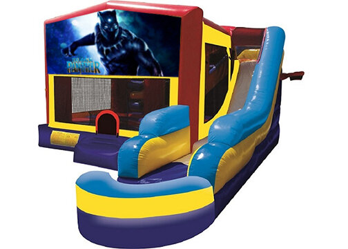 Black Panther Combo with Pool