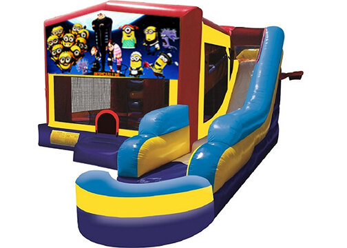 Despicable Me Combo with Pool