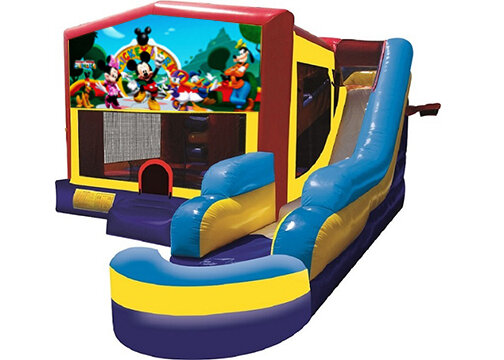 Mickey Mouse Combo with Pool