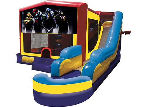 Ninja Turtles Combo with Pool