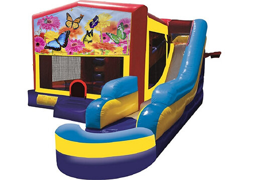 Butterflies Combo with Pool