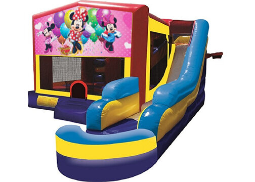 Minnie Mouse Combo with Pool