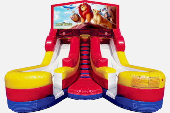 Double Lane Water Slide Lion King