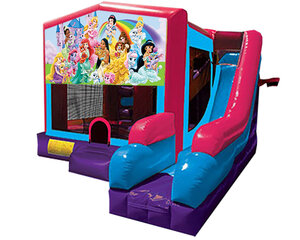 Princess 5-in-1 Combo Unit