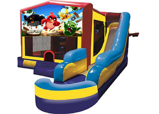 Angry Birds Combo w/ Pool