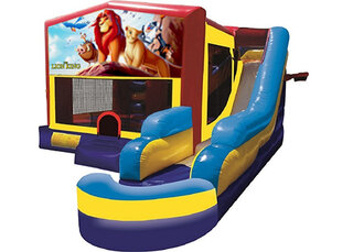 Lion King Combo w/ Pool