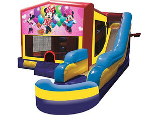 Minnie Mouse Combo w/ Pool