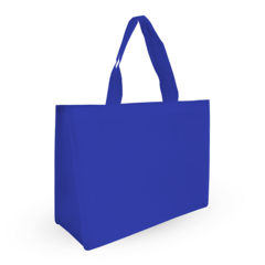 10 Large Party Bags