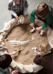 Dino Dig