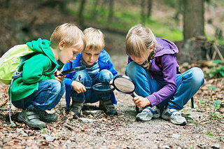 Nature Detectives