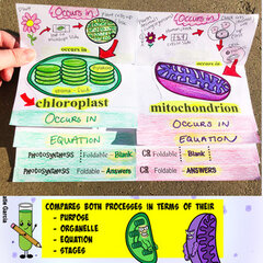 Basic Biology